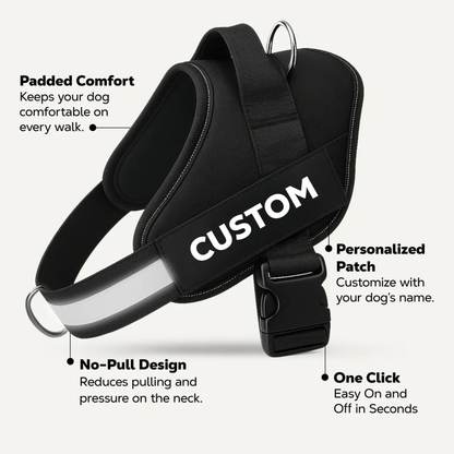Orvelloro™ No-Pull Sele